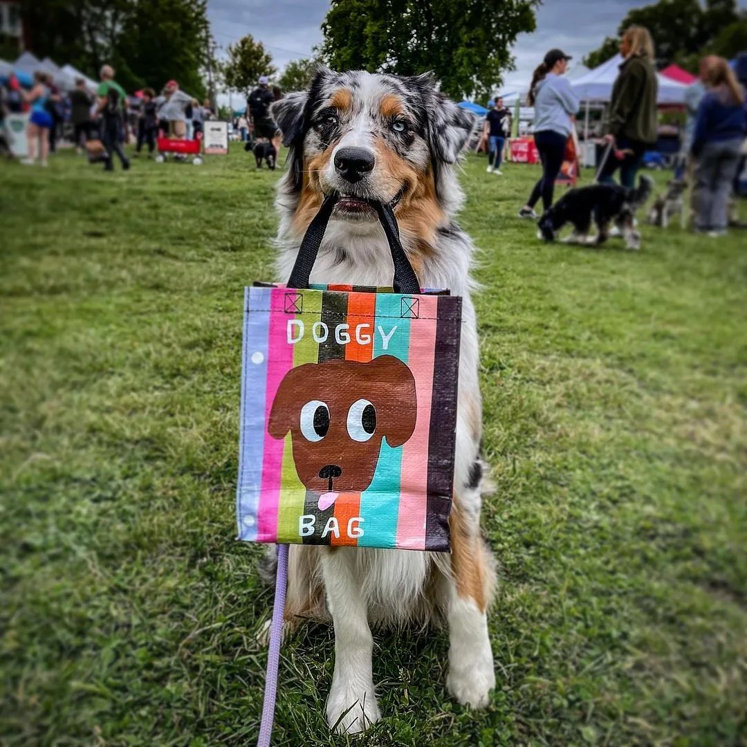 Blue Q Doggy Bag Handy Tote