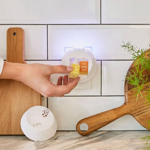 Everything You Need to Know About the Pura Smart Home Diffuser