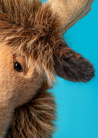 Birchly Moose Jellycat