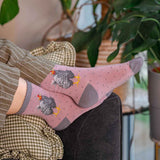 Wrendale 'Curious Hen' Chicken Socks
