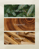 Thymes Frasier Fir Petite Tidings Reed Diffuser