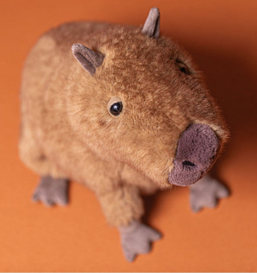 Jellycat Clyde Capybara – Heavenly Outhouse