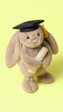 Jellycat Bashful Bunny Graduation Outfit