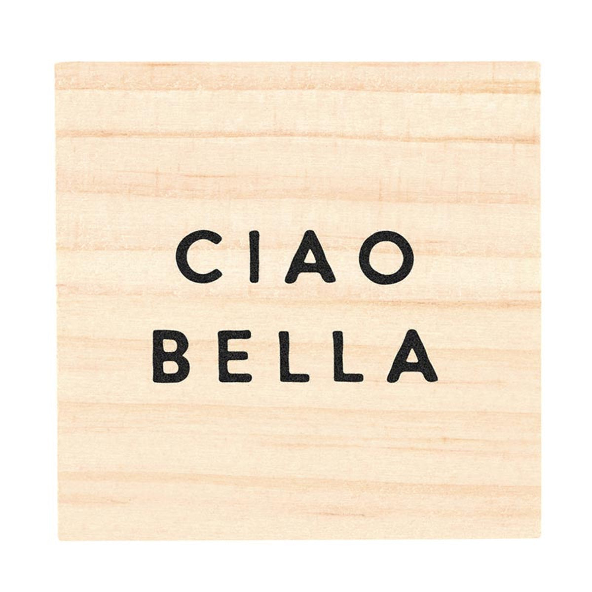 Treasure Box Earrings - Ciao Bella