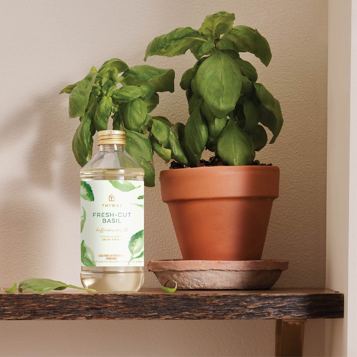 Thymes Fresh-Cut Basil Reed Diffuser Refill