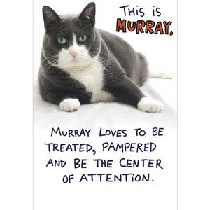 Be Murray Birthday Card