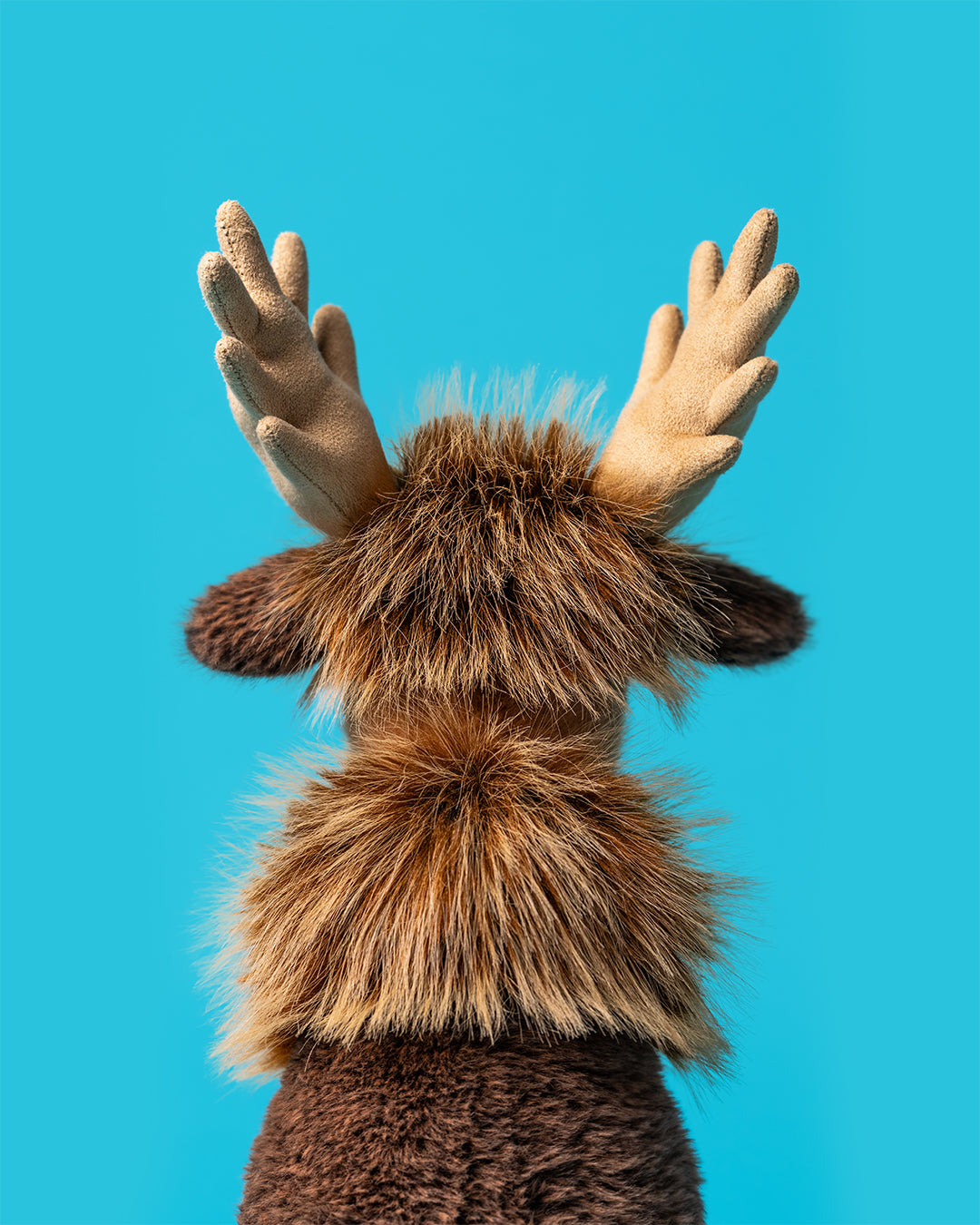 Birchly Moose Jellycat