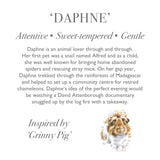 Wrendale 'Daphne' Guinea Pig Plush Character
