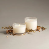 Thymes Frasier Fir Frosted Wood Grain Candle Large
