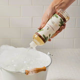 Thymes Frasier Fir All Purpose Cleaning Concentrate