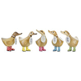 DCUK Spotty Boots Ducky Wooden Duck (Blue)