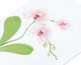 Orchid Blank Card
