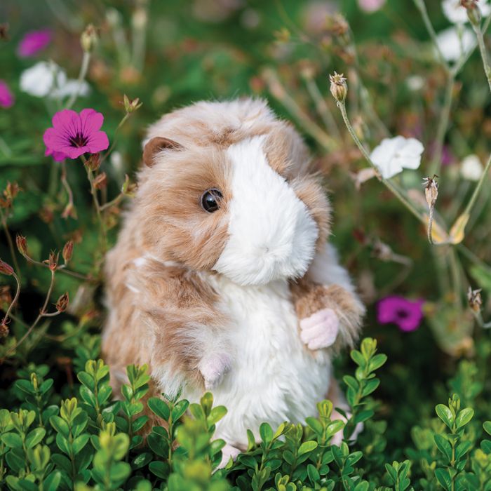 Wrendale 'Daphne' Guinea Pig Plush Character