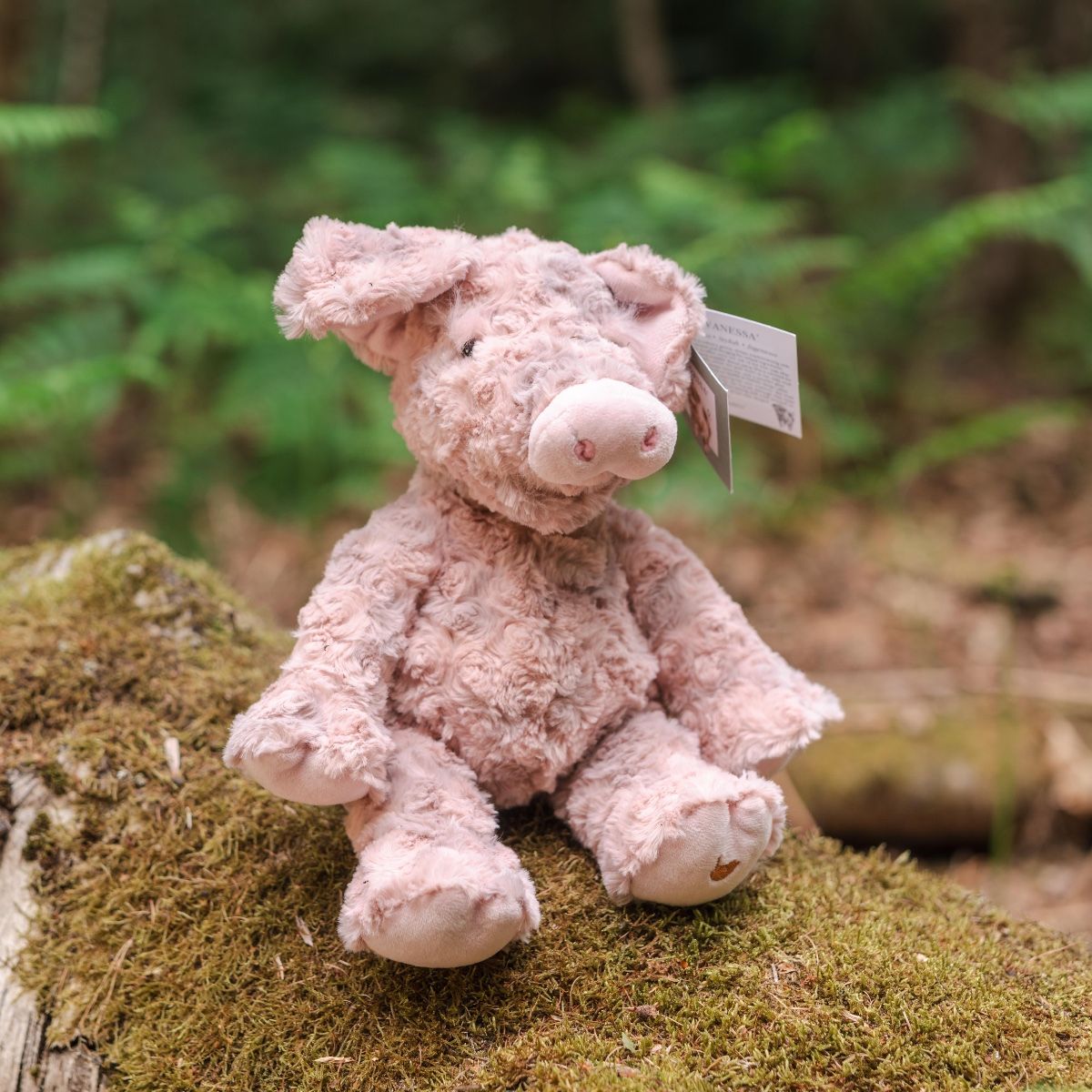 Wrendale 'Vanessa' Pig Plush Character
