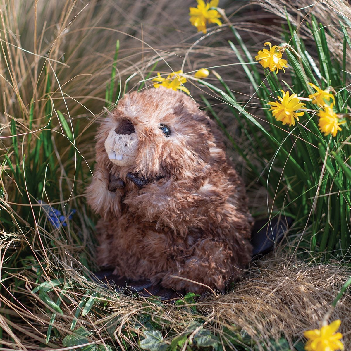 Wrendale 'Chester' Beaver Plush Character