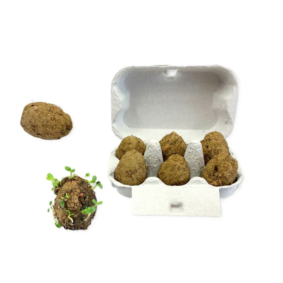 Ecopod Bee & Butterfly Seed Eggs