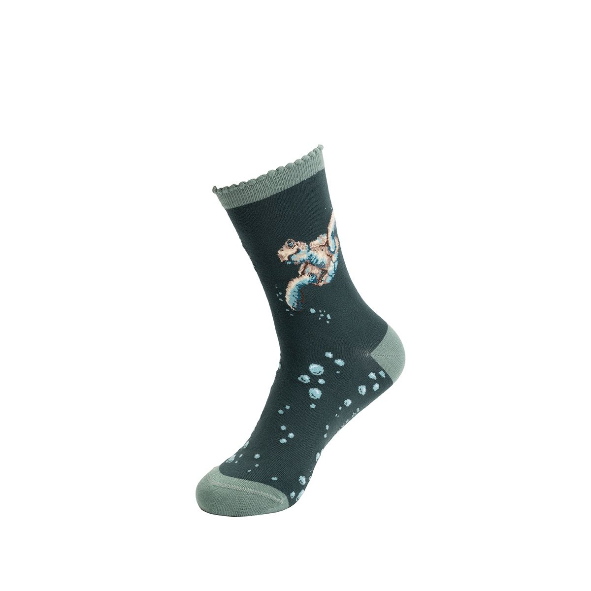 Wrendale 'Swimming School' Turtle Socks