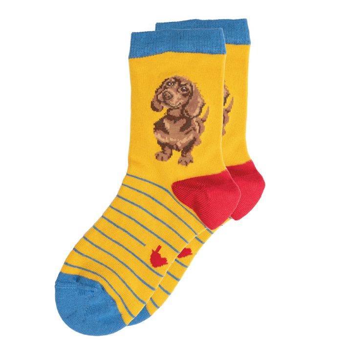 Wrendale 'Little One' Dachshund Children's Socks
