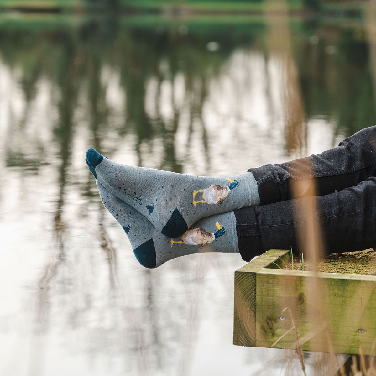 Wrendale 'Guard Duck' Men's Socks