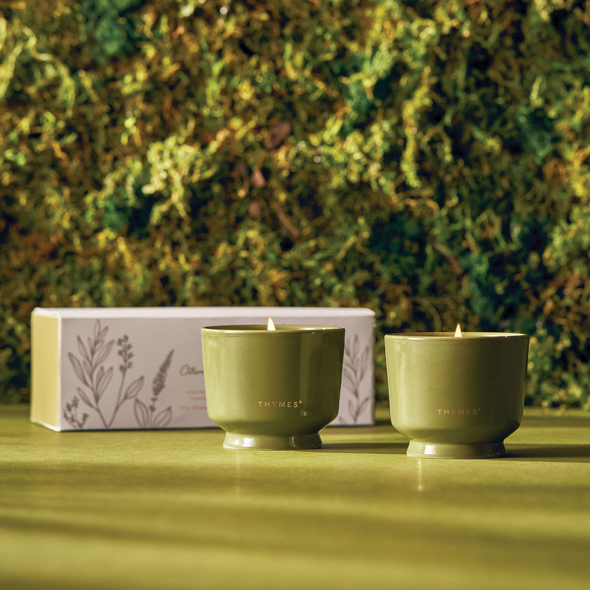Thymes Citronella Outdoor Candle Set