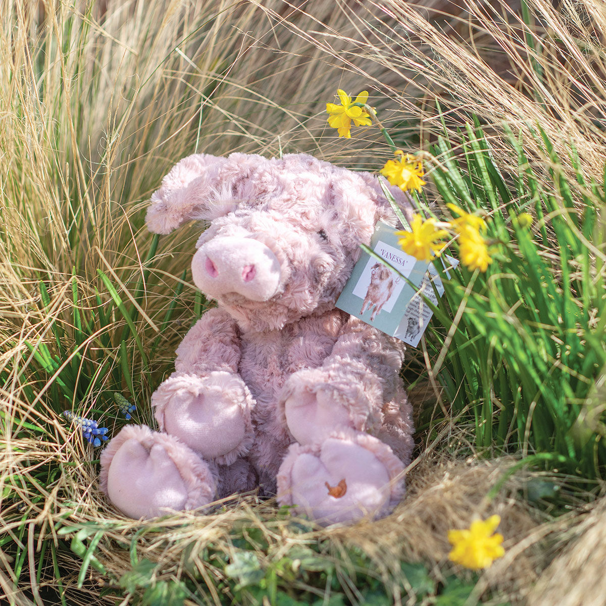 Wrendale 'Vanessa' Pig Plush Character