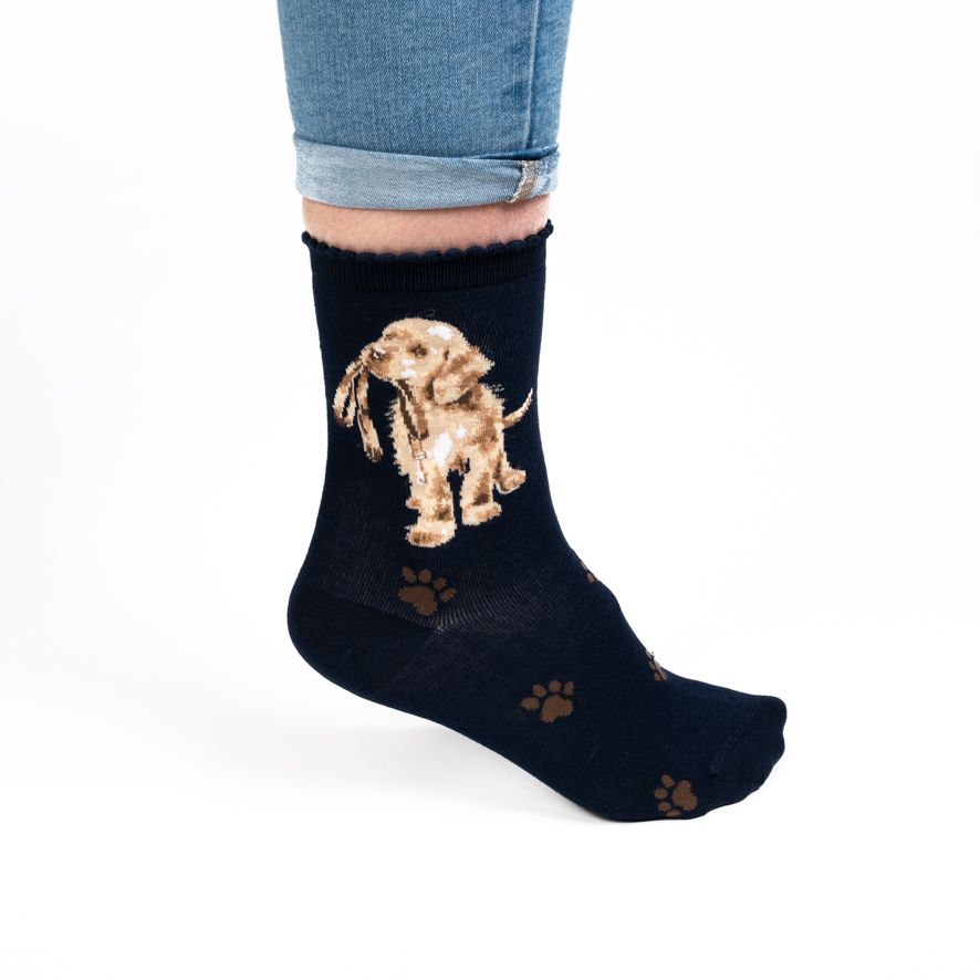 Wrendale 'Hopeful' Labrador Navy Socks