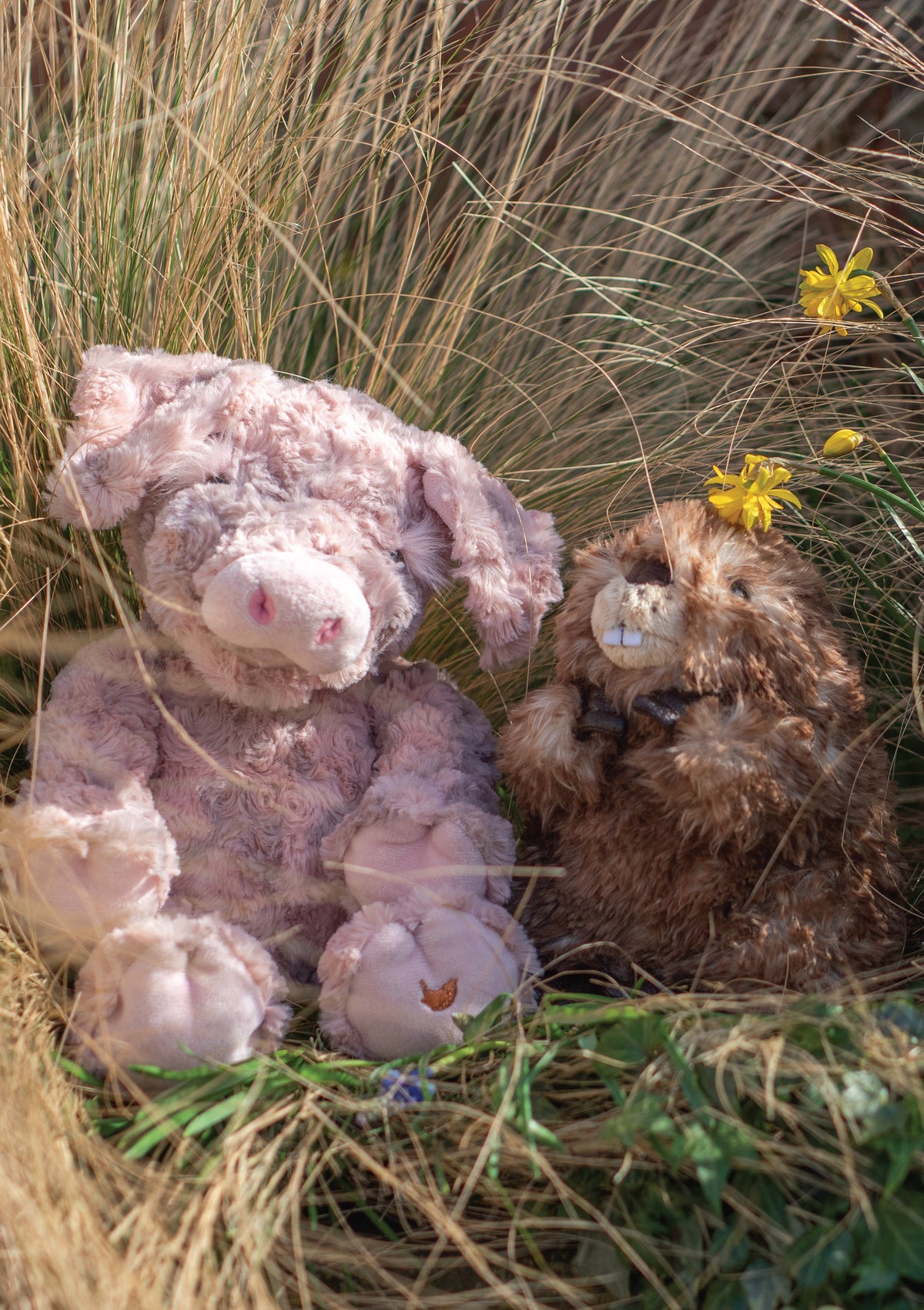 Wrendale 'Chester' Beaver Plush Character