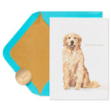 Celebrate And Enjoy Dog Birthday Card