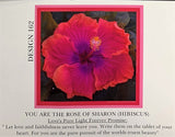 You Are The Rose Of Sharon (Hibiscus) Luxury Silk-Blend Scarf D162