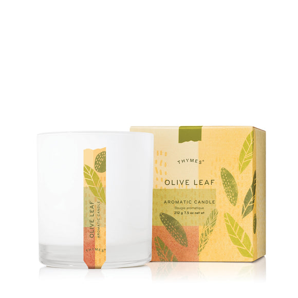 Thymes Olive Leaf Aromatic Candle