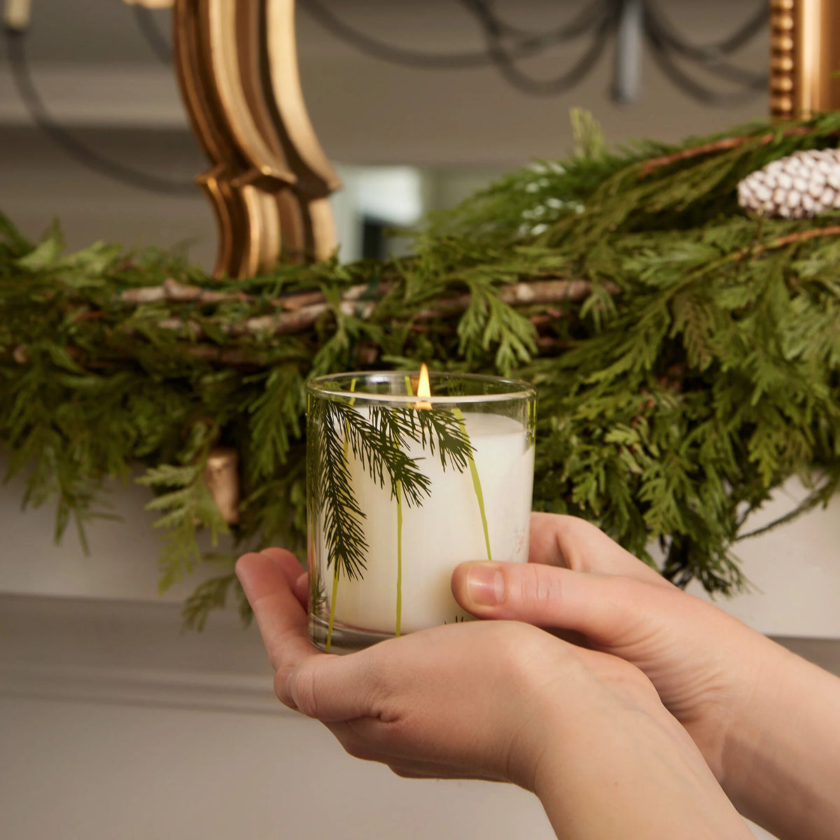 Thymes Frasier Fir 6.5oz Pine Needle Candle