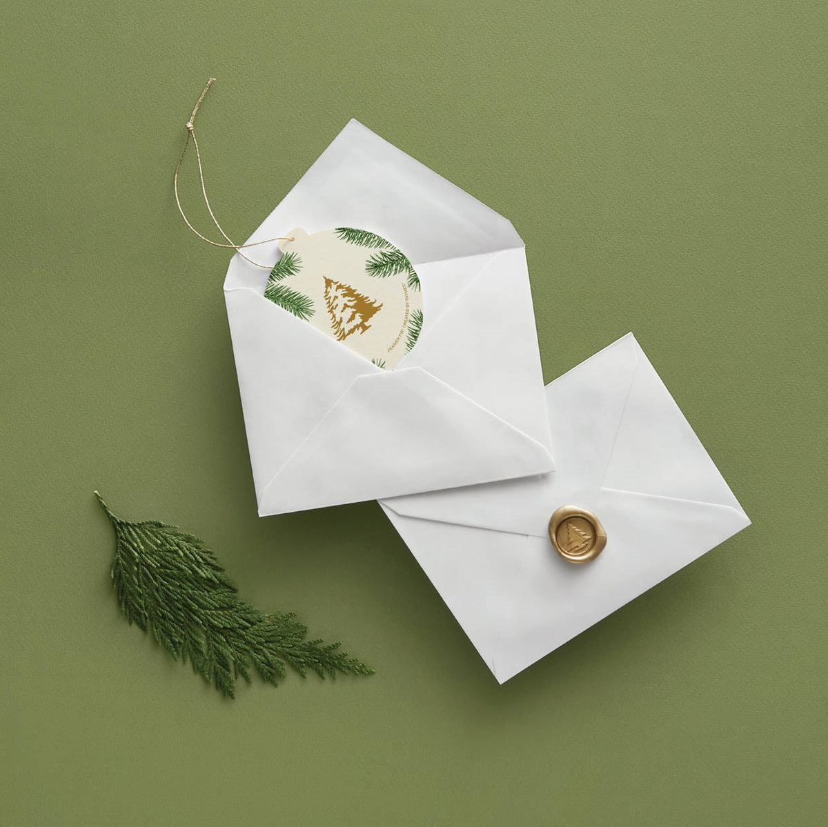 Thymes Frasier Fir Decorative Sachet